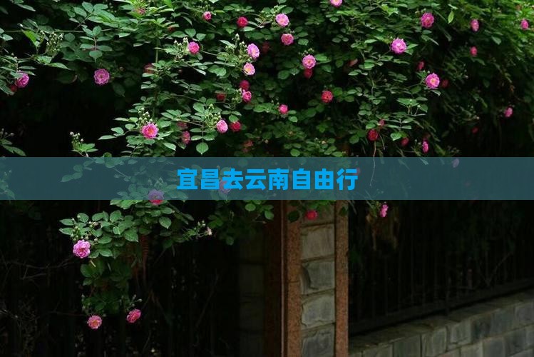 宜昌去云南自由行