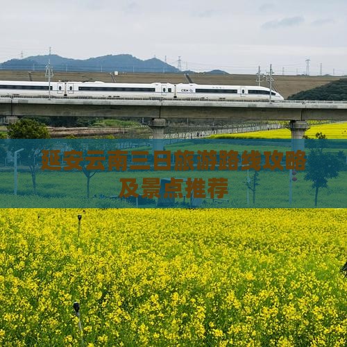 延安到云南古城三日游 延安到云南古城三日游