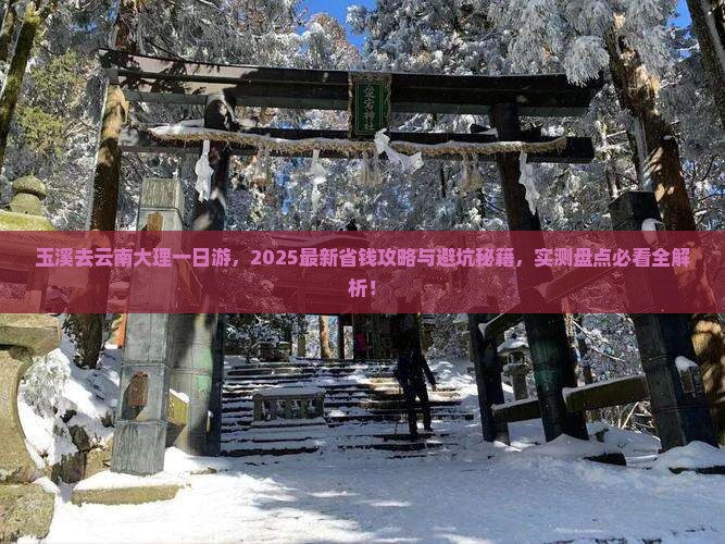 玉溪去云南大理一日