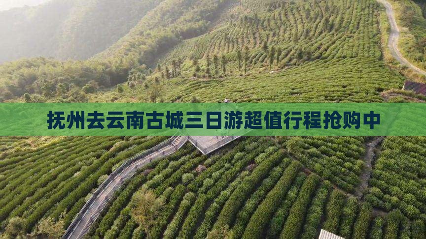 抚州去云南古城三日游