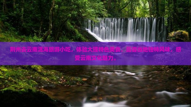 荆州去云南洱海旅游小吃