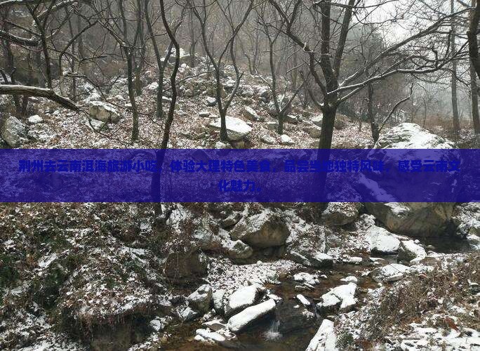 荆州去云南洱海旅游小吃