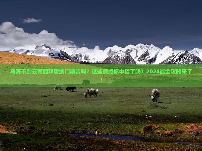 乌海市到云南西双版纳门票