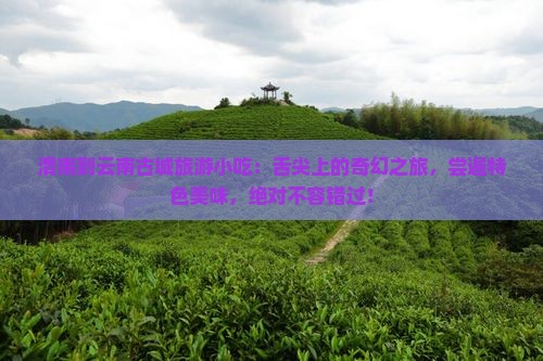 渭南到云南古城旅游小吃