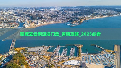 聊城去云南洱海门票