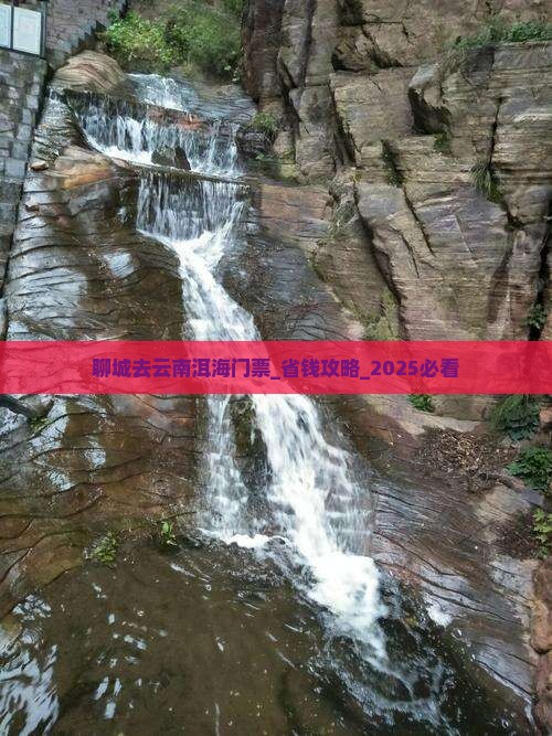 聊城去云南洱海门票