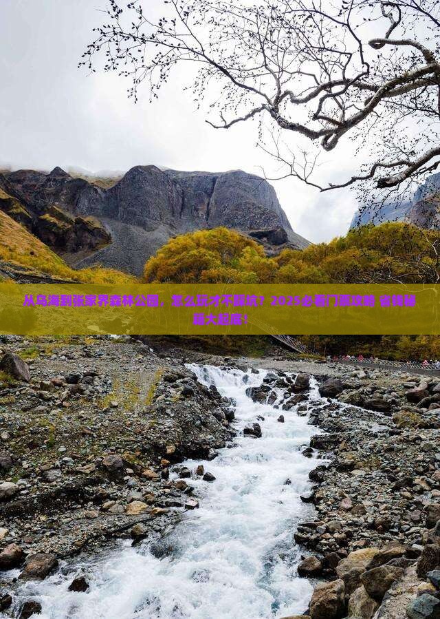 乌海到张家界森林公园门票