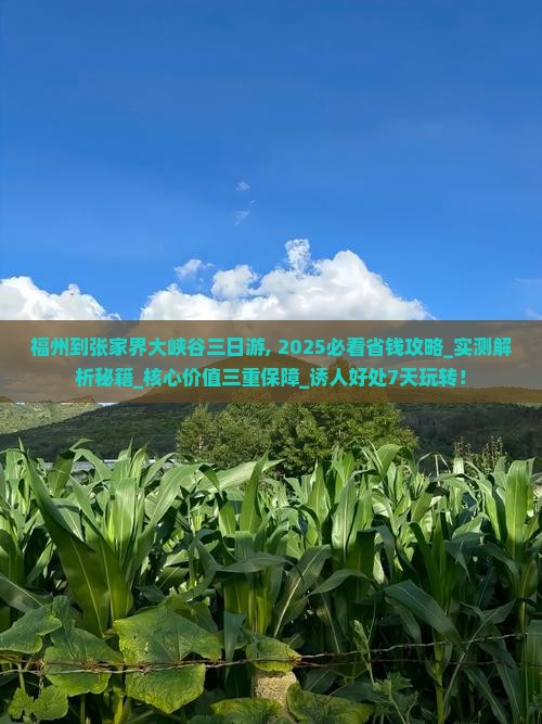 福州到张家界大峡谷三日游