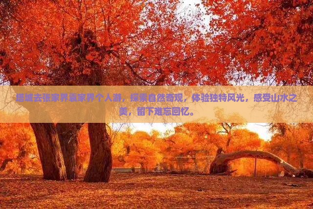 塔城去张家界袁家界个人游