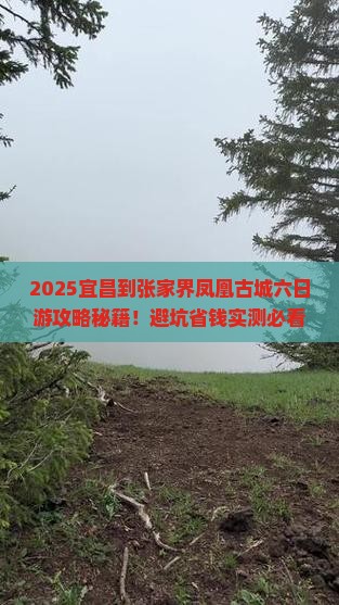 宜昌到张家界凤凰古城六日游
