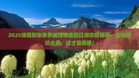 绵阳到张家界玻璃栈道四日游