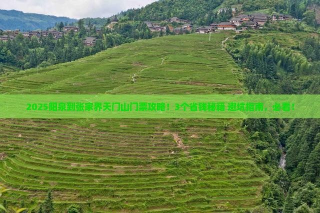 阳泉到张家界天门山门票