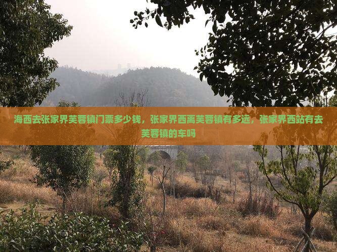 海西去张家界芙蓉镇门票