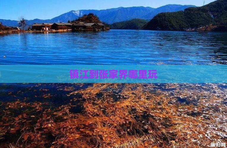 镇江到张家界哪里玩