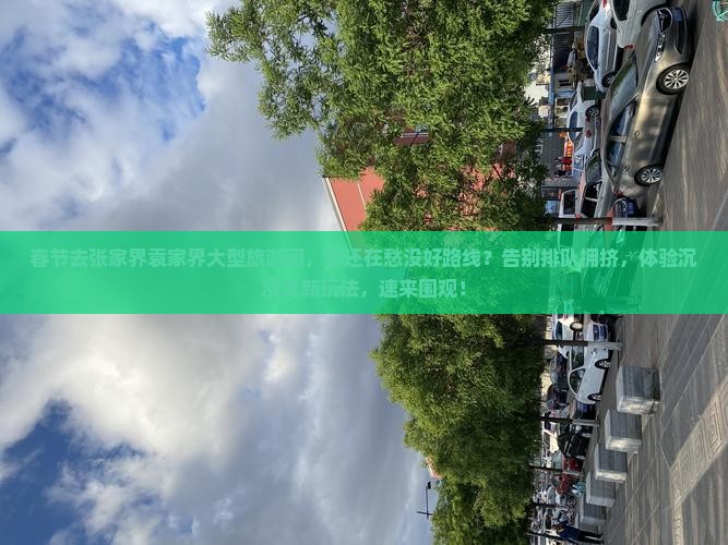 春节去张家界袁家界大型旅游团