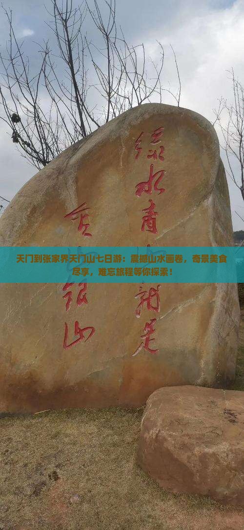天门到张家界天门山七日游