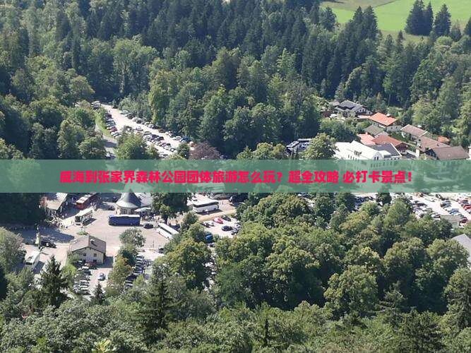 威海到张家界森林公园团体旅游