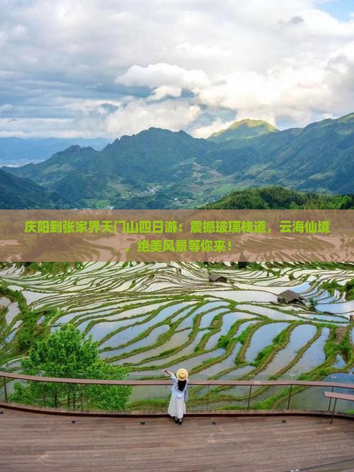 庆阳到张家界天门山四日游