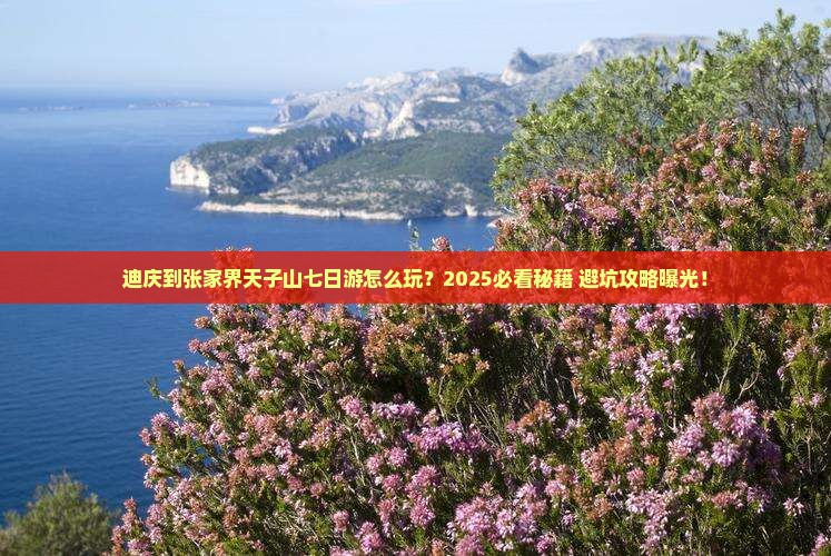迪庆到张家界天子山七日游