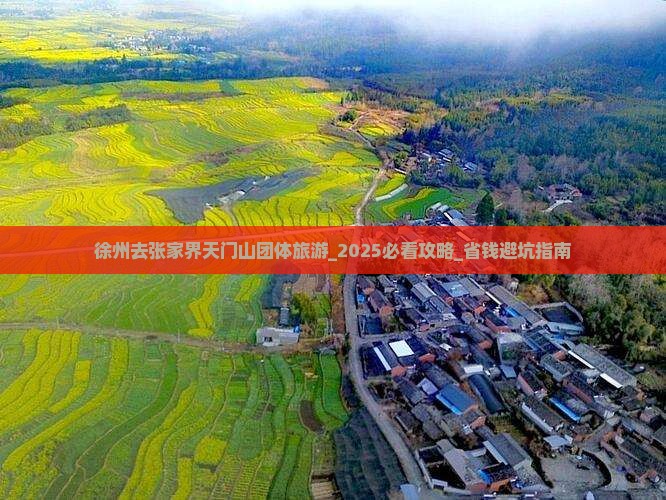 徐州去张家界天门山团体旅游