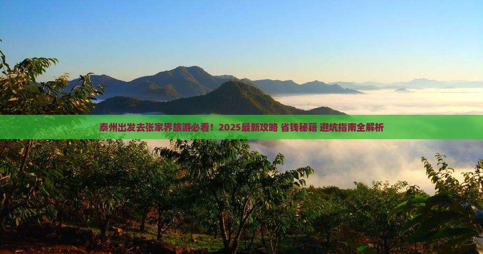 泰州去张家界旅游