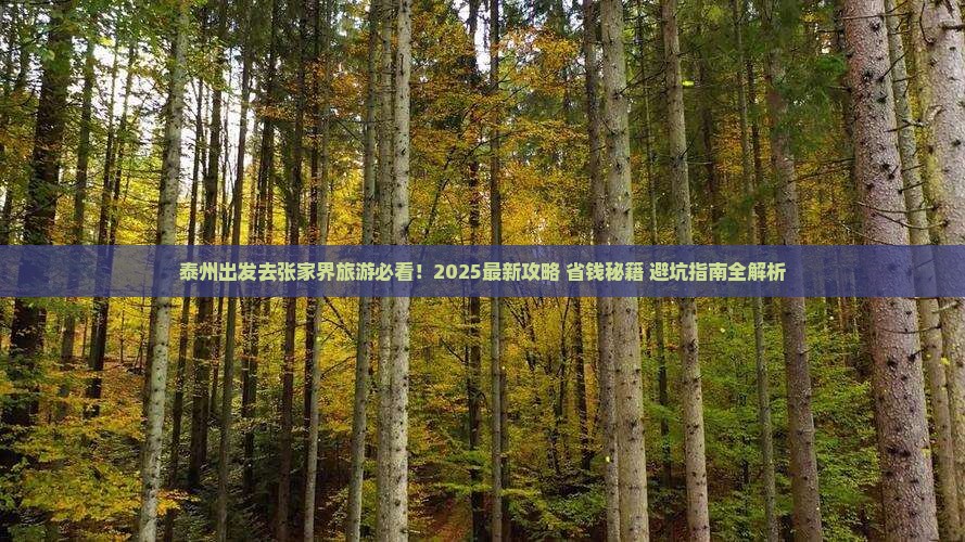 泰州去张家界旅游
