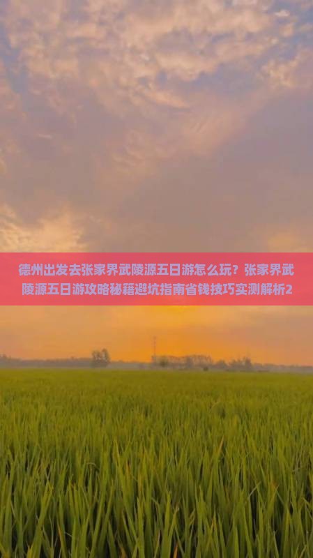德州去张家界武陵源五日游