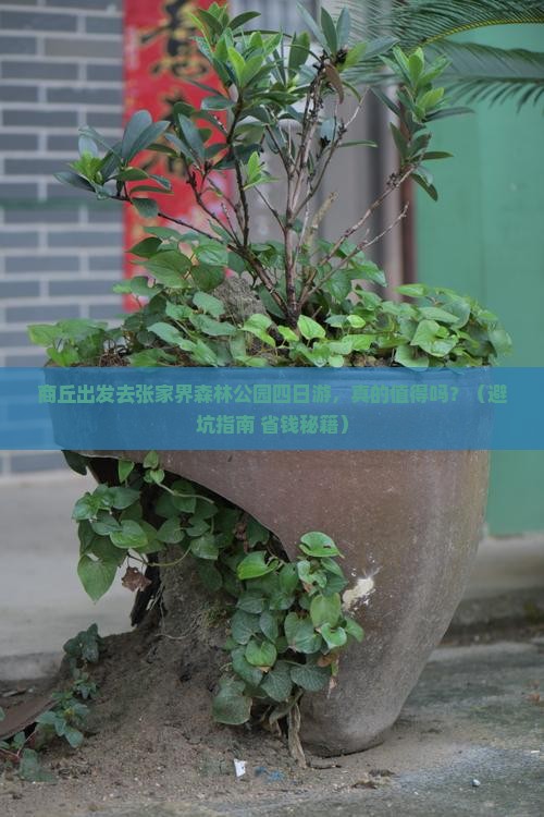 商丘去张家界森林公园四日游