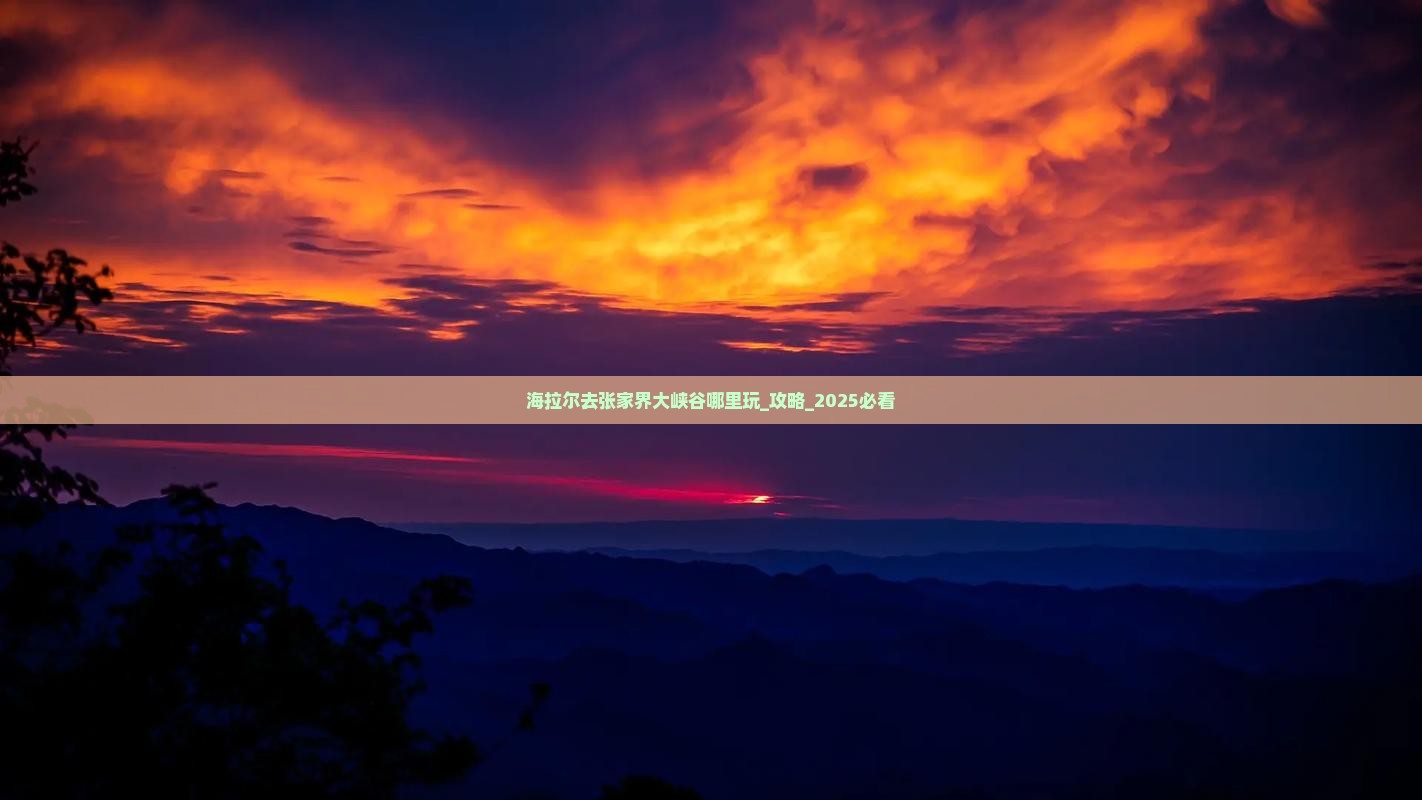 海拉尔去张家界大峡谷哪里玩