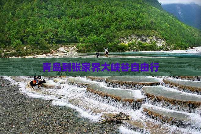 青岛到张家界大峡谷自由行
