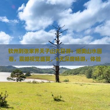 钦州到张家界天子山六日游