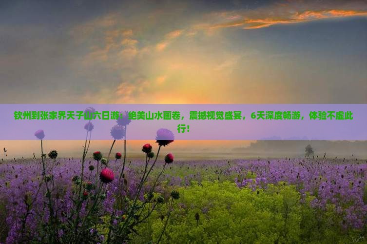 钦州到张家界天子山六日游