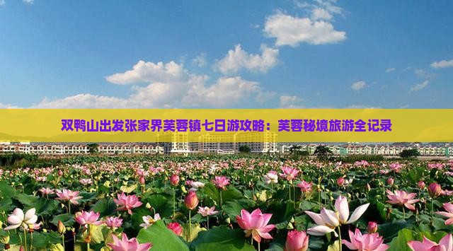 双鸭山去张家界芙蓉镇七日游