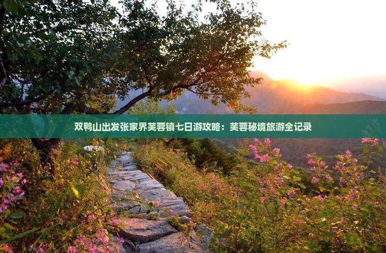 双鸭山去张家界芙蓉镇七日游