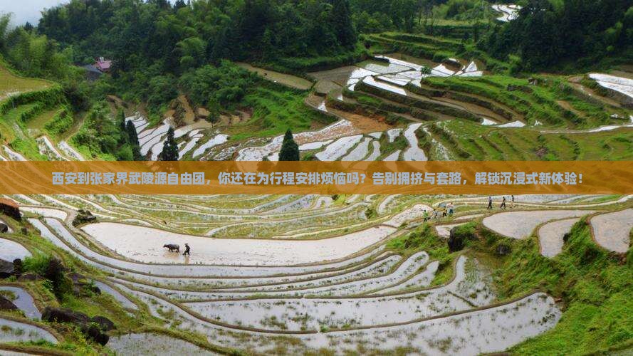 西安到张家界武陵源自由团