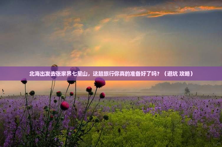 北海去张家界七星山旅行社