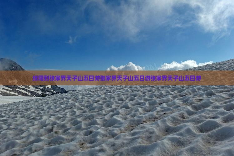 绵阳到张家界天子山五日游