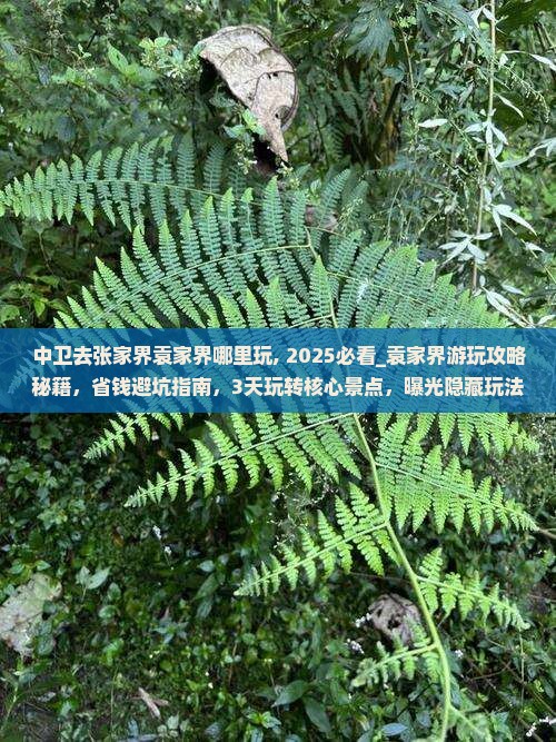 中卫去张家界袁家界哪里玩