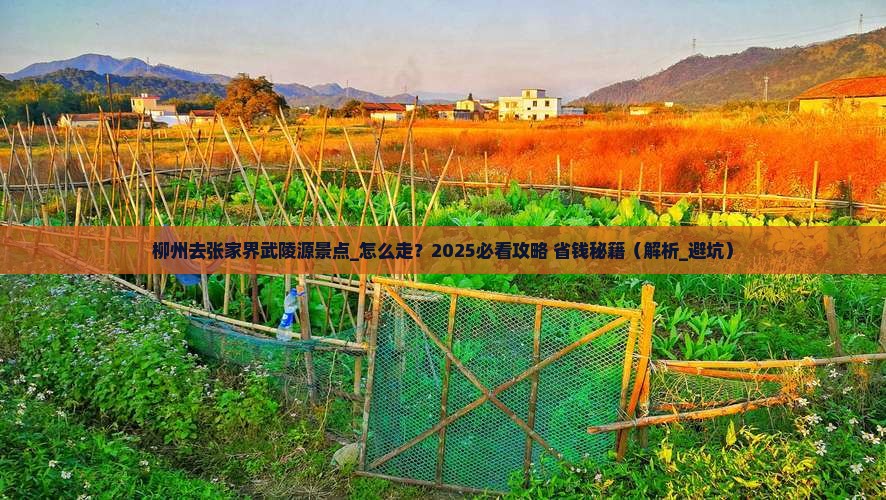 柳州去张家界武陵源景点