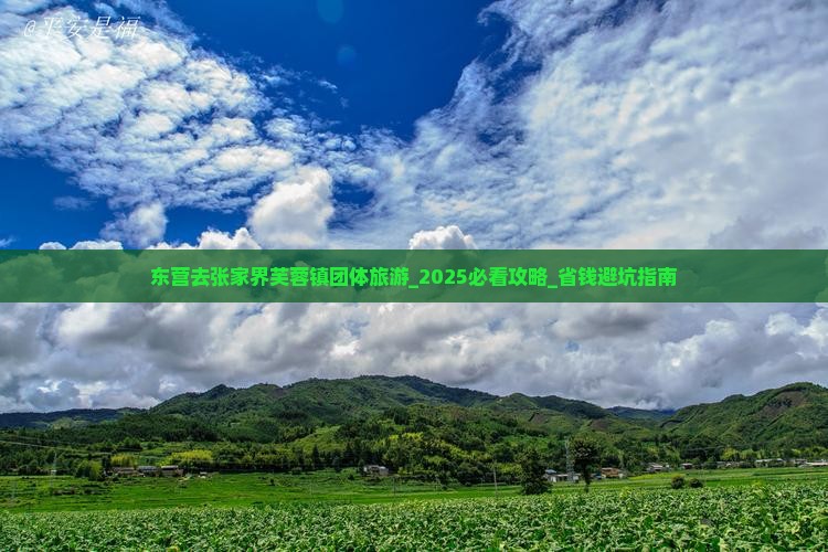 东营去张家界芙蓉镇团体旅游