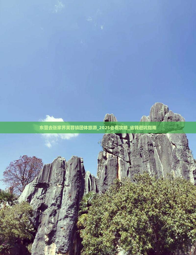 东营去张家界芙蓉镇团体旅游
