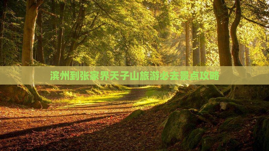 滨州到张家界天子山必去地