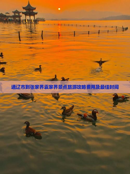 通辽市到张家界袁家界景点