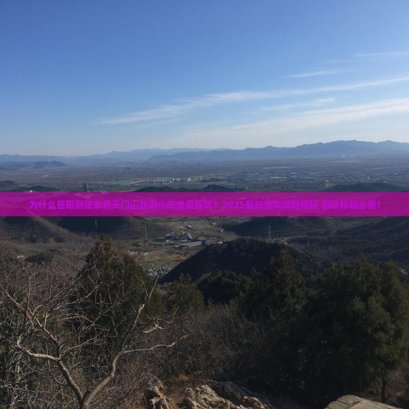 岳阳到张家界天门山旅游小吃