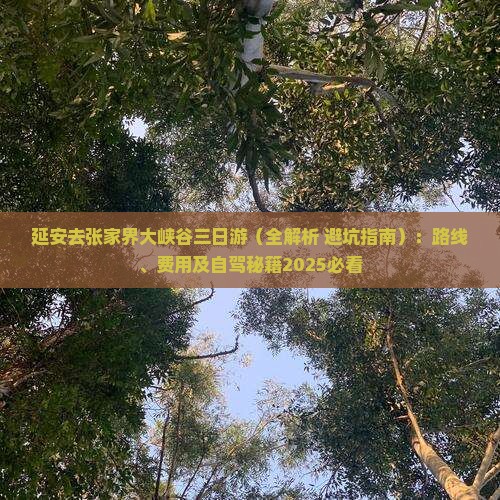 延安去张家界大峡谷三日游