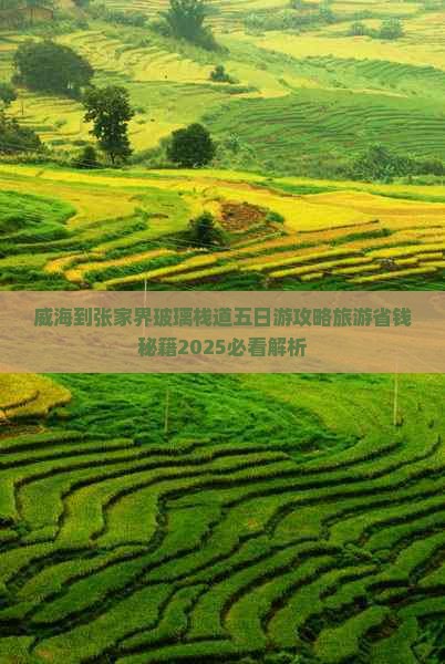 威海到张家界玻璃栈道五日游