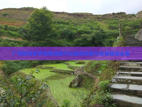 广州到张家界武陵源旅行社