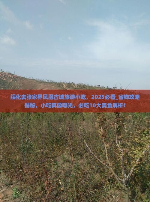 绥化去张家界凤凰古城旅游小吃