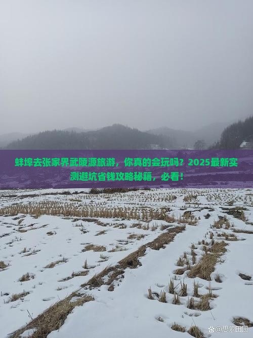蚌埠去张家界武陵源旅游
