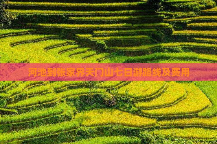 河池到张家界天门山七日游
